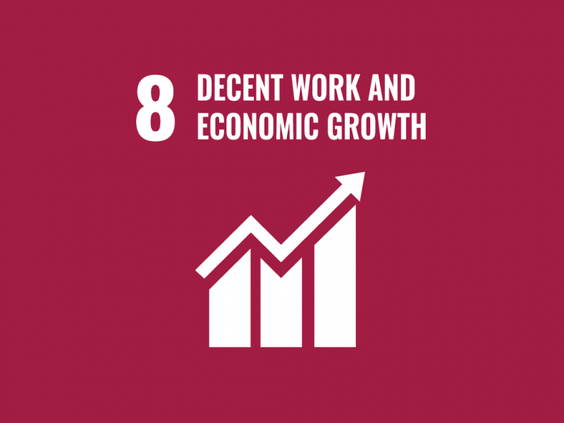 Decent Work and Economic Growth – Promote inclusive & sustainable economic growth image