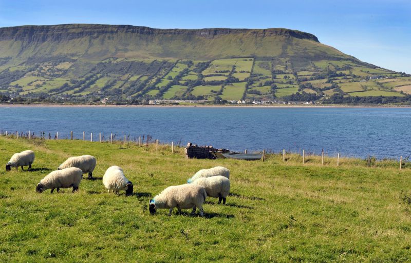 Ulster University among NI partners awarded share of £6.5m research investment for national land use transformation image