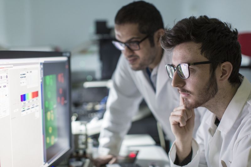 Personalised Medicine image